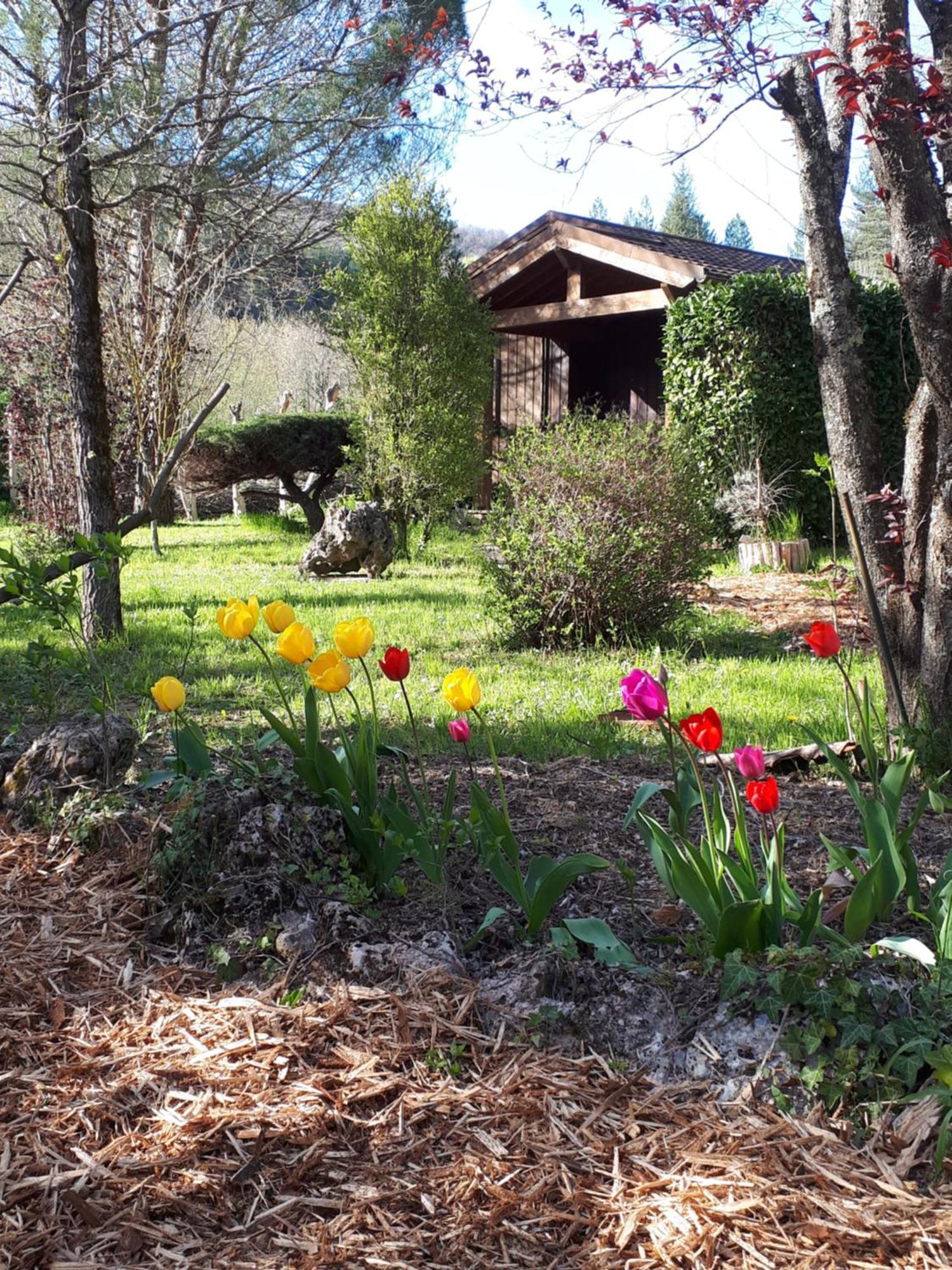 Les Chalets Du Roc Alzon Buitenkant foto